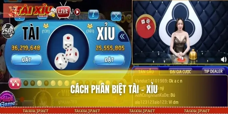 Hướng dẫn phân biệt cửa cược Tài và Xỉu