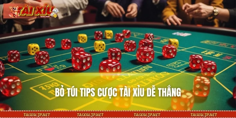 Bỏ túi tips cược Tài Xỉu dễ thắng